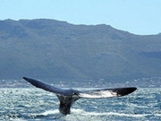 Eastern Cape holidays, main image
