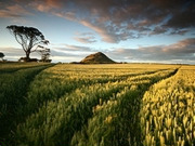 East Lothian holidays, main image