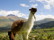 Ecuador Highlands holidays, main image