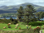 Eden destinations travel guide