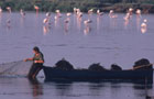 Ebro Delta Nature Park