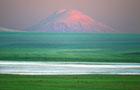 Kars