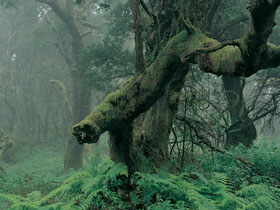 Sendero de la Llania