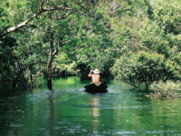 Amazon luxury