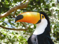 Ecuador