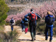 Walking holiday in France