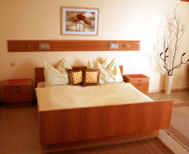 Room at Obertraun bed & breakfast accommodation, Austria