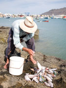 Fishing in La Graciosa, Lanzarote. Photo by Nick Haslam