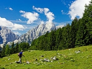 French Alps holidays, main image