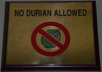 Malaysia story - No durian allowed
