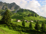 Grosse Walsertal Biosphere Park, main image