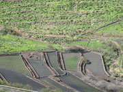 Haria valley. Photo by Nick Haslam