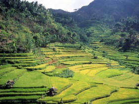 Family holiday to Bali, Monkeys and Volcanoes