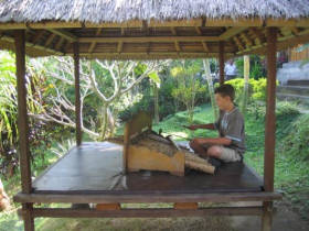 Family holiday to Bali, Monkeys and Volcanoes