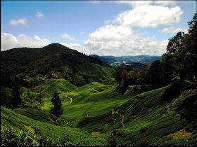 Malaysia family holiday