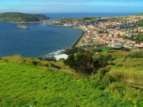 Azores conservation holiday, whales, dolphins and turtles