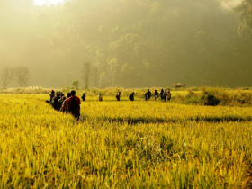Karen homestay, Thailand