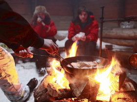 Arctic Finland dogsledding week & Northern Lights