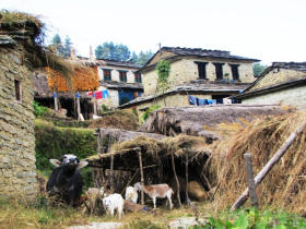 Nepal adventure holiday