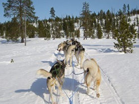 Winter activity and culture holiday in Finland