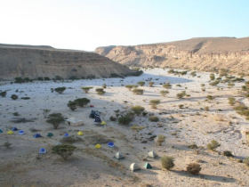 Arabian Leopard conservation in Oman