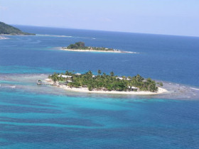 Coral reef conservation holiday in Honduras
