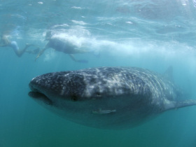 Philippines holiday, small group tours
