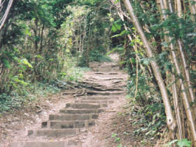 Pilgrims Way guided walk
