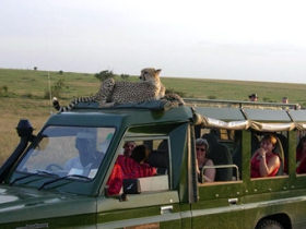 Kenya safari and sailing holiday