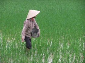 Cambodia and Vietnam tailor made holiday