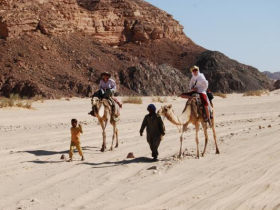 Astronomy tour in Egypt