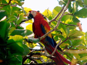 Costa Rica jungle accommodation