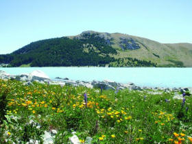 Eclipse tour in Australia with New Zealand holiday