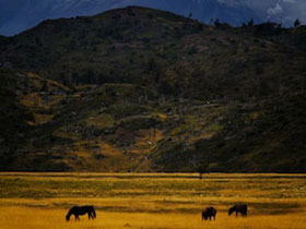 Photography holiday in Patagonia