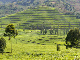 Burundi and Rwanda holiday