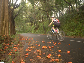 Kerala & Tamil Nadu mountain biking holidays, Western Ghats