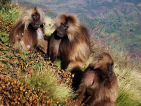 Ethiopia cultural holidays