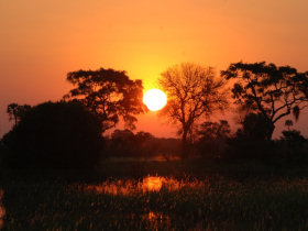 Okavango Delta camping holiday, Botswana