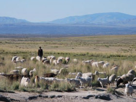 Siberia holiday, nature and culture