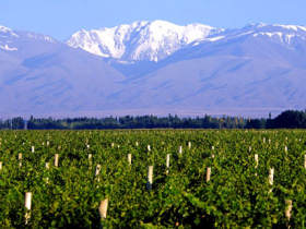 Luxury tour of Argentina