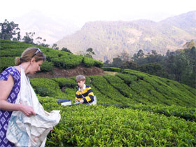 Kerala family activity holiday, India