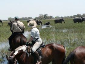 Botswana horse trekking safari