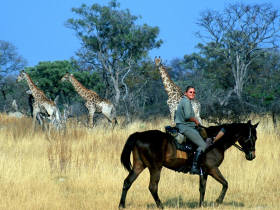 Botswana horse trekking safari