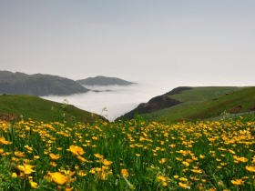 Silk Road holiday, around the Caspian Sea