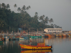 Sri Lanka wildlife and cultural holiday