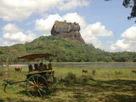 Sri Lanka wildlife and cultural holiday