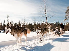 Winter adventure holiday in Finland