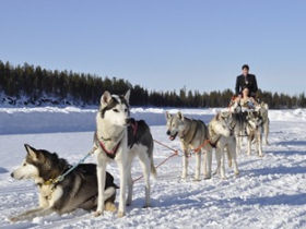 Wedding in Lapland, Finland