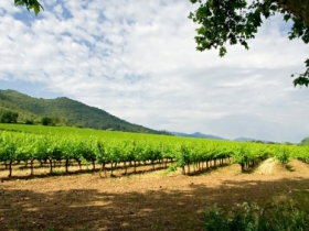 Cycling tours in Catalonia for art lovers