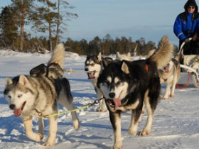 Wedding in Finland, Sami Land